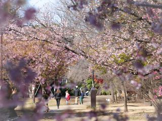 西園・文化交流広場にて