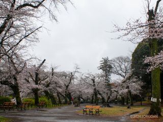 雨天なのが非常に残念です