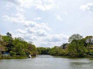 新緑の季節になりました