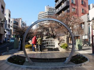 一週間前と比べると開花の進行が一目瞭然