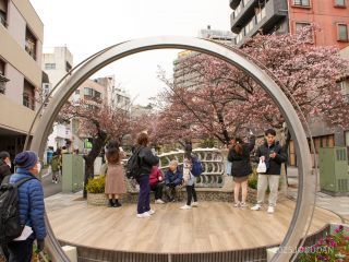土曜日ということもあり大いににぎわっています