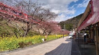 河津駅前 屋台の準備も行われています