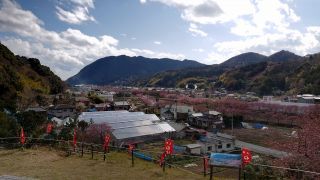 涅槃堂の展望台から見た景色