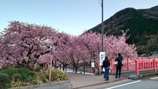 館橋付近
