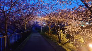 踊り子温泉付近