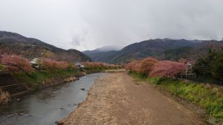 来宮橋付近の様子