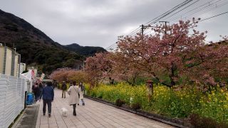 駅前の様子