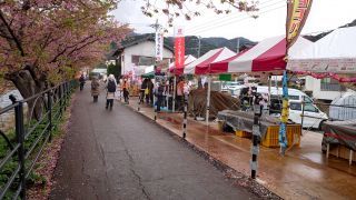 平日だからか閉じている屋台も