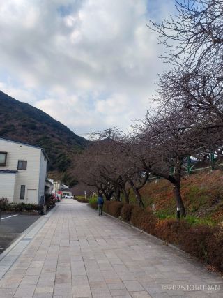 河津駅前 2月1日