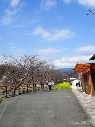 河津町観光協会ブース予定地前 2月1日