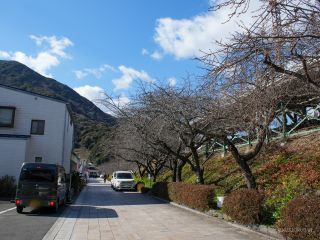 河津駅前 2月7日