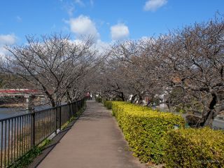 館橋付近 2月7日