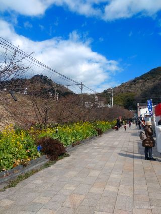 河津駅前 2月14日