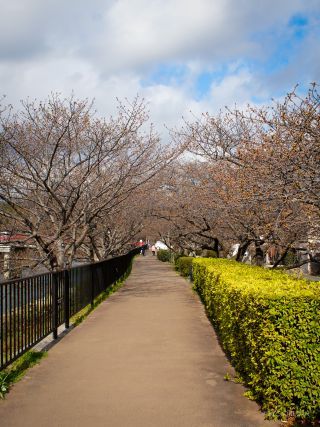 館橋付近 2月14日