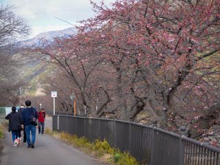 豊泉橋足湯付近 2月14日