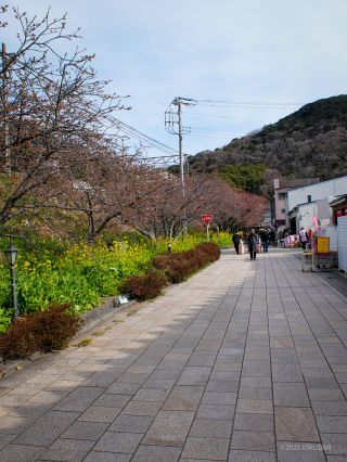河津駅前 2月21日