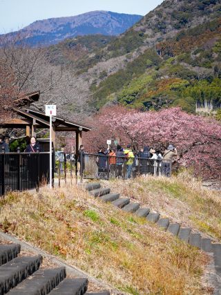 豊泉橋足湯付近 2月21日