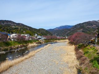 来宮橋付近 2月21日