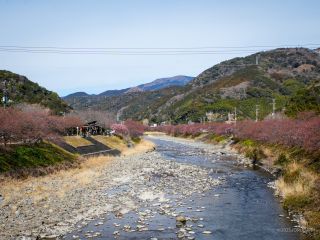 豊泉橋付近 2月21日