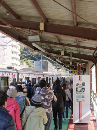 本日10時ごろ到着の伊豆急行線