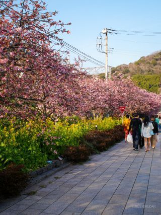 河津駅前 3月1日