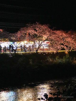 夜も屋台が開いている場所も