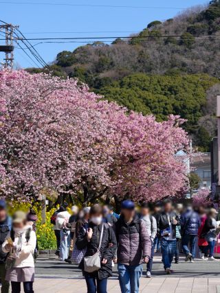 河津駅前 3月7日