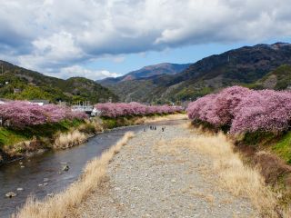 来宮橋付近 3月7日