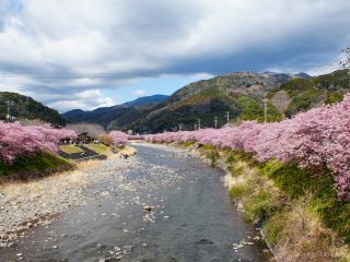 豊泉橋付近 3月7日