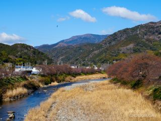 来宮橋 1月30日
