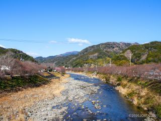 豊泉橋付近 1月30日