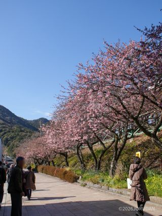 駅前の並木道 2月6日
