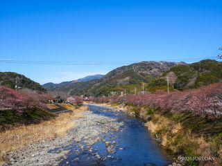 豊泉橋付近 2月6日