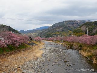 豊泉橋付近 2月12日撮影