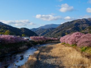 来宮橋付近 2月19日撮影