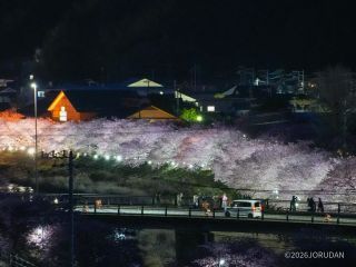 涅槃堂の桜見晴台からの眺めは格別です