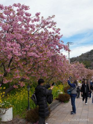 駅前もにぎわいを見せています