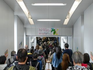 多くの観光客が訪れています