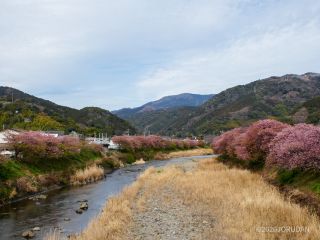 来宮橋付近 2月27日