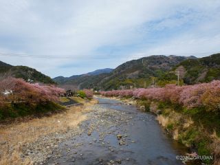 豊泉橋付近 2月27日