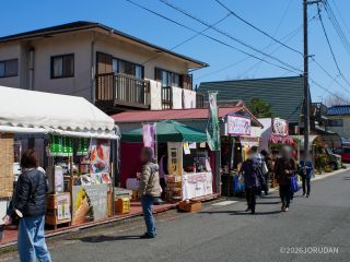 桜まつりはいよいよフィナーレ！