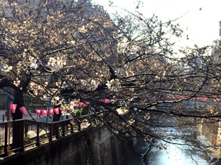 大橋の周辺
