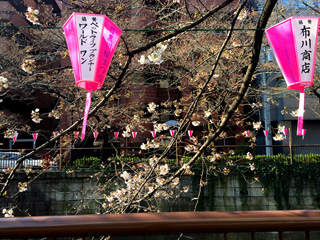 氷川橋