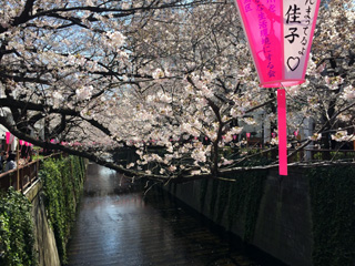桜橋付近