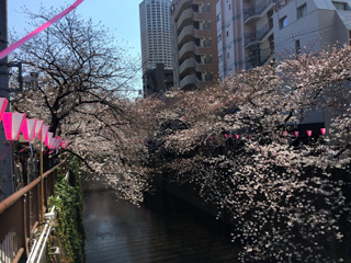 宿山橋周辺１