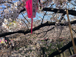 宿山橋周辺２