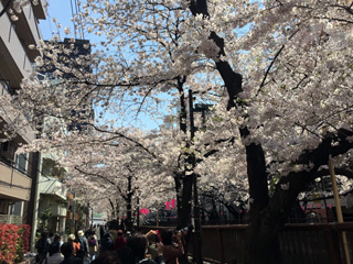 11:00現在の混雑状況