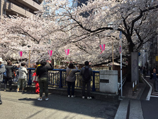 東山橋付近1