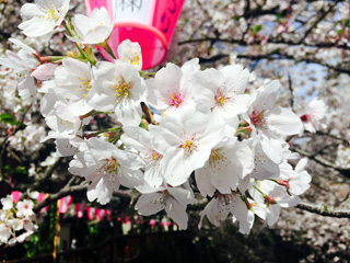 池尻大橋付近