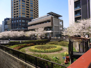 蛇崩川合流点